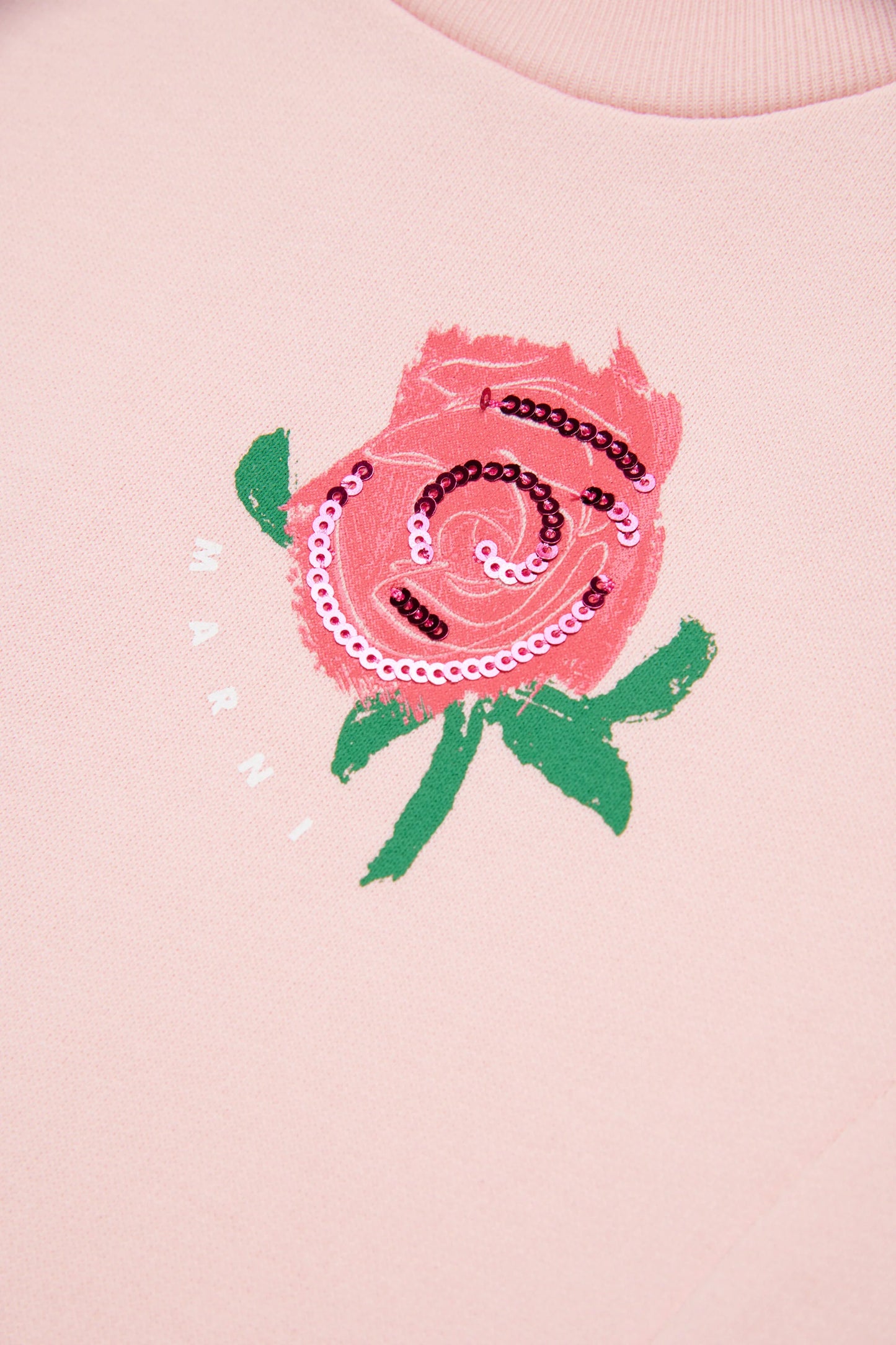 Mini dress with floral embroider