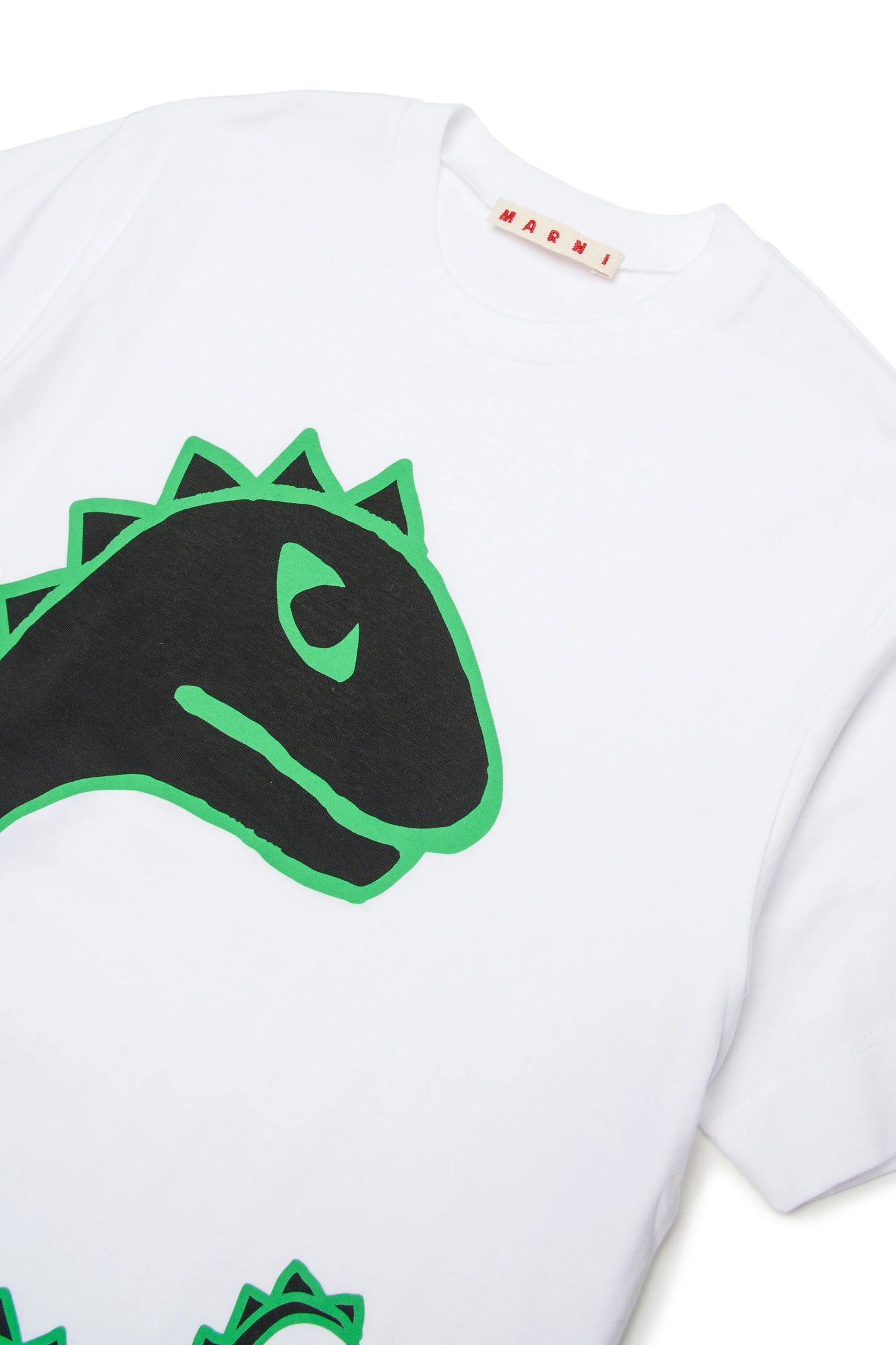 T-shirt with dinosaur print
