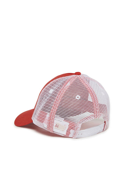 Baseball cap with dinosaur graphic