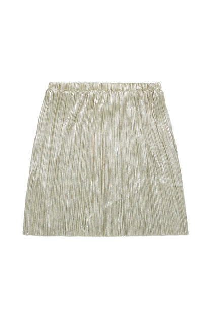 Metallic Pleated Skirt