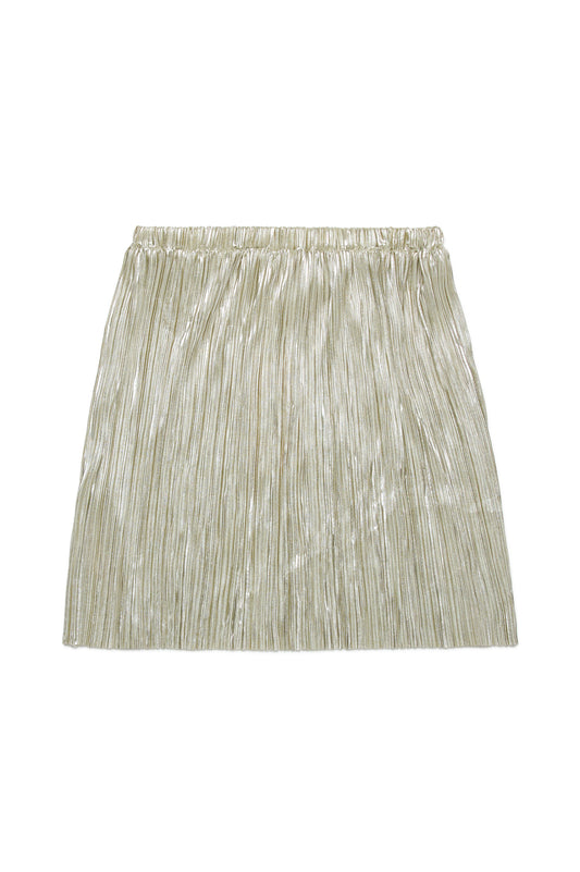 Metallic Pleated Skirt